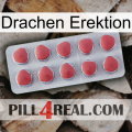 Dragon Erection 18